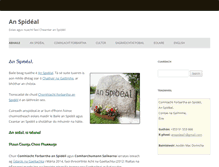 Tablet Screenshot of anspideal.ie